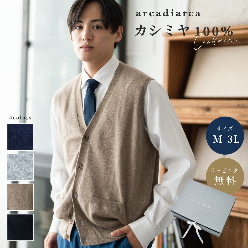 カシミヤ 100％ ベスト メンズ 前開き Vネック M L LL 3L プレゼント ニット 冬 カシミヤニット トップス カシミア ボタン 男性 彼氏 夫 学生 ビジネス ギフト 秋冬 送料無料 アルカディアルカ arcadiarca ギフト