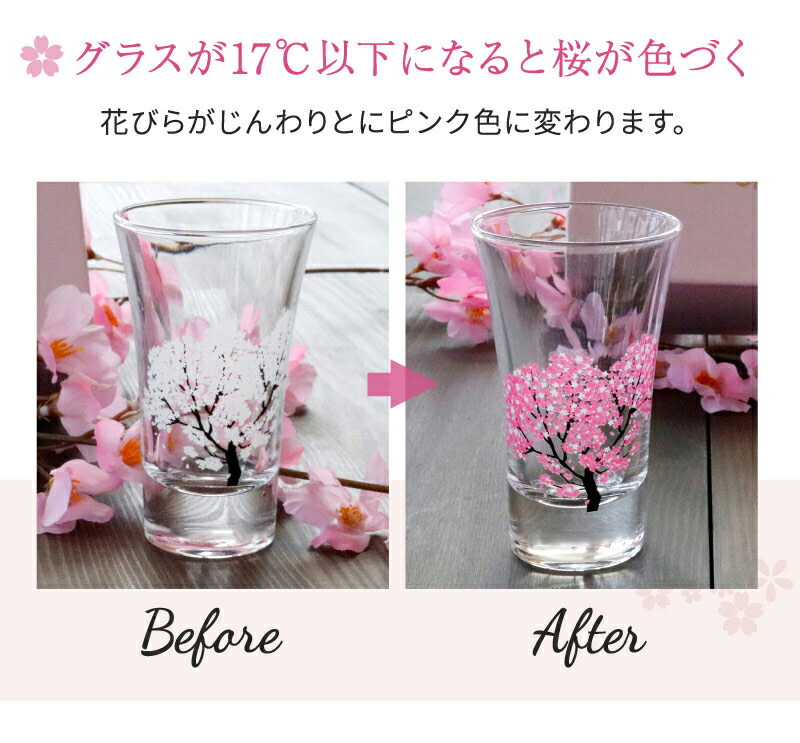 新品 さくら 桜 ＃2 型抜き 抜き型 05 生抜きE 調理器具