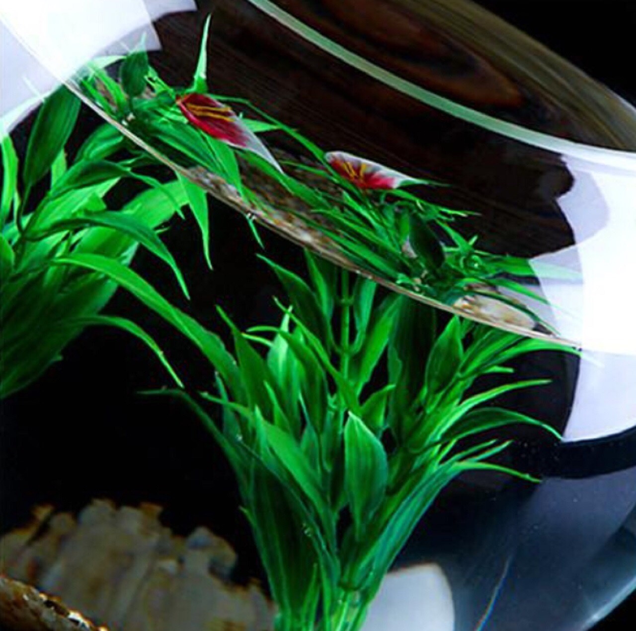 正規店仕入れの 水槽 ガラス 金魚鉢 オシャレ シンプル 山デザイン 一体化 大 内祝い Destinationmadrid Fr