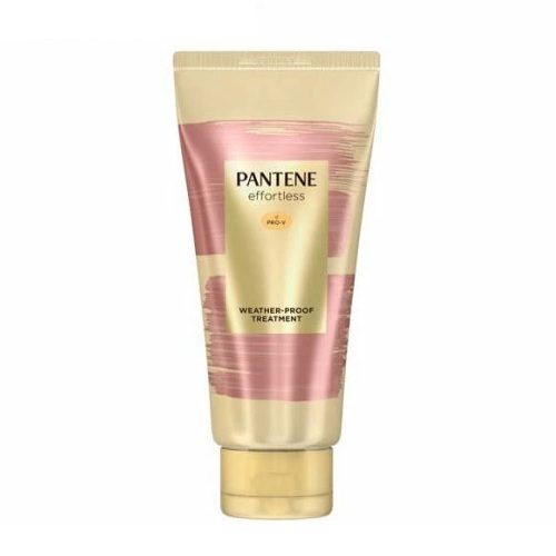 【１０個セット】 P&G パンテーン エフォートレス ウェザープルーフ トリートメント(160g)×１０個セット【正規品】