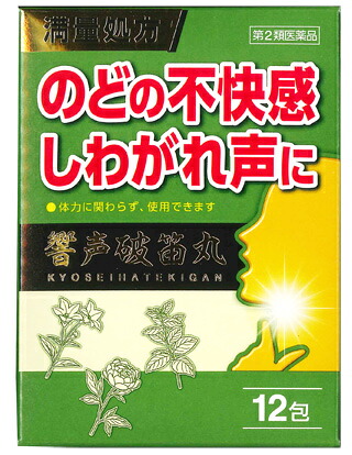 【第2類飲み薬】【１０個書き割り】 響声破笛丸 12包×１０個書き割り 【定め事品】きょうせいはてき癌腫【t-5】