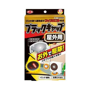 【１０個仕掛ける】 【時節押さえる】 黒いこと旗がしら 室外用 8コ入 ×１０個仕掛ける 【置き目品】