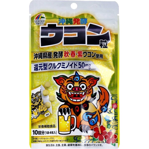 【１０個セット】リケン 沖縄発酵ウコン粒(4粒*10袋入)×１０個セット 【正規品】 ※軽減税率対象品【t-10】