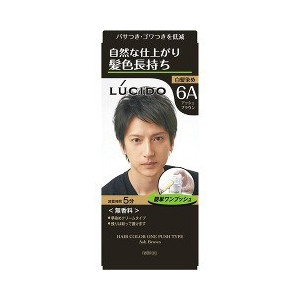 【２４個セット】【１ケース分】 ルシード ワンプッシュケアカラー アッシュブラウン 50g+50g&times;２４個セット　１ケース分 【正規品】【dcs】｜ソレイユ店