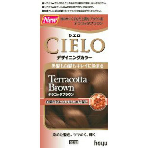 シエロ デザイニングカラー テラコッタブラウン 1セット×10個セット