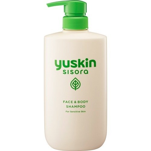 【１２個仕掛ける】【１入れもの分】 青少年キン シソラ 上半身シャンプー 500ml ×１２個仕掛ける １入れもの分 【置き目品】【dcs】