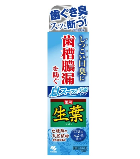【４８個仕掛ける】【１入れもの分】 小林製薬 薬用生葉I 息スーッと実感(100g)×４８個仕掛ける １入れもの分 【置き目品】【dcs】 歯磨き粉-ダイエット・健康-デンタルケア