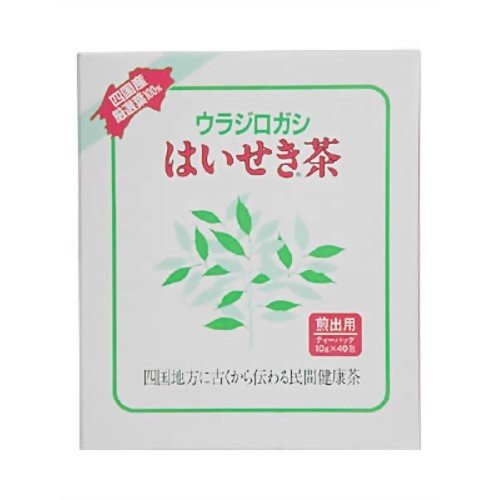 【２０個セット】【１ケース分】ウラジロガシ はいせき茶 煎出用 10ｇ×40包×２０個セット 　　１ケース分　【正規品】※軽減税率対象品【ori】