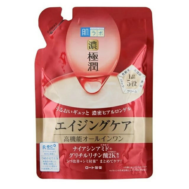 【２４個仕掛ける】【１入れもの分】 ロート製薬 肌科学研究所 極潤 ハリパーフェクトゲル つめかえ用(80g) ×２４個仕掛ける １入れもの分 【置き目品】【dcs】