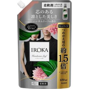 【１５個セット】【１ケース分】 IROKA ハンサムリーフ スパウト(650ml)×１５個セット　１ケース分【正規品】