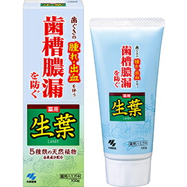 【20個セット】 小林製薬 薬用歯みがき 生葉(100g) ×20個セット【正規品】【t-6】|ソレイユ店
