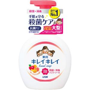 【１０個セット】 キレイキレイ 薬用泡ハンドソープ フルーツミックスの香り 本体 大型サイズ 500mL ×１０個セット 【正規品】