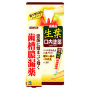 【第3類医薬品】【２０個セット】 生葉 口内塗薬20g×２０個セット 【正規品】【t-12】