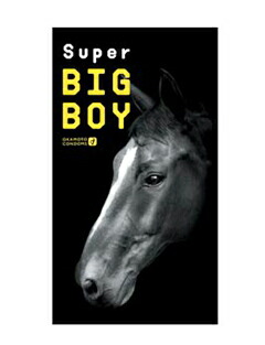 【１０個書き割り】 スーパービッグボーイ 予防医学 １２個入り口・入口  オカモト×１０個書き割り 【定まり品】【k】【ご申しつける後送りとどけるまでに1週以上もらい受けるする切っ掛けがございます】