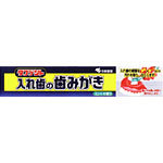 【２０個セット】 小林製薬 タフデント 入れ歯の歯磨き(95g)×２０個セット【正規品】