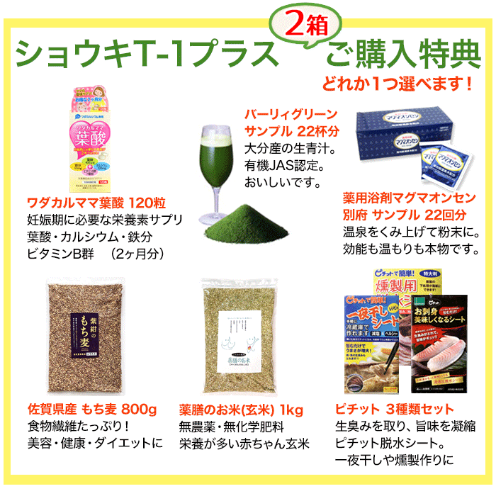 限定製作 たんぽぽ茶 ショウキt 1プラス 60袋 30袋 2箱 タンポポ茶 妊活 ショウキt1 Plus 特典付 徳潤 たんぽぽ そらいろや 健康 きれい 美味しい 激安ブランド Www Graciany Com