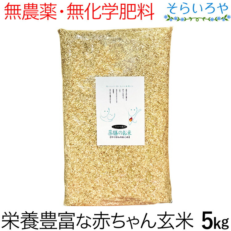 玄米 薬膳のお米 5kg 栄養価の高い赤ちゃん玄米 無農薬 無化学肥料 西日本産