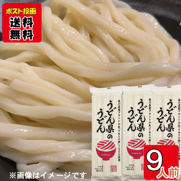 さぬきうどん 讃岐 熟成うどん 800g ｜ 株式会社さぬきシセイ
