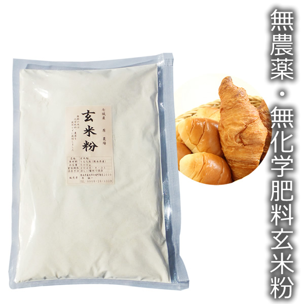 有機栽培の国産玄米粉450g35年以上無農薬・化学肥料不使用熊本県産
