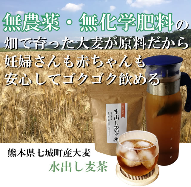楽天市場 水出し麦茶1g 12パック 熊本県産無農薬 化学肥料不使用 ショップtom