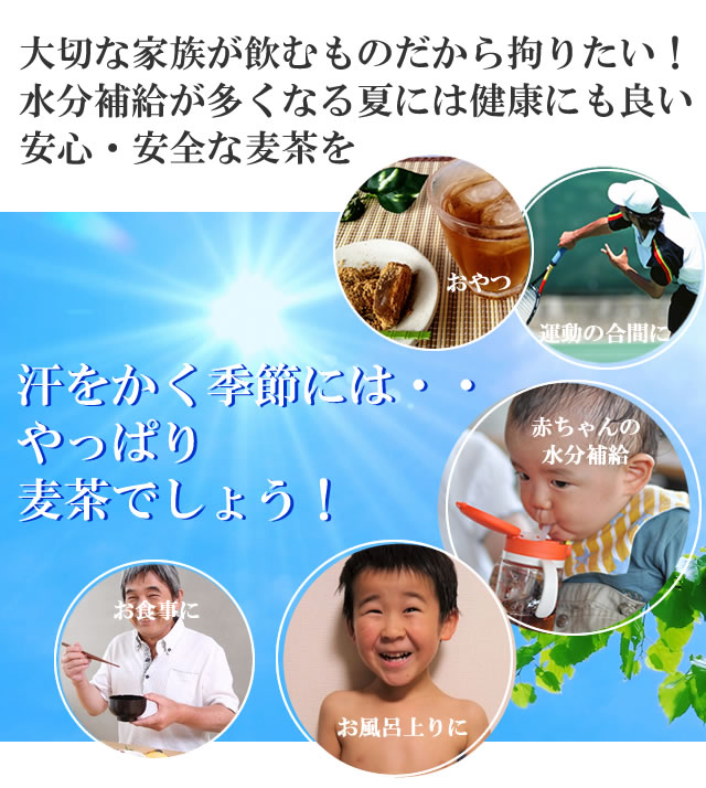 楽天市場 水出し麦茶1g 12パック 熊本県産無農薬 化学肥料不使用 ショップtom