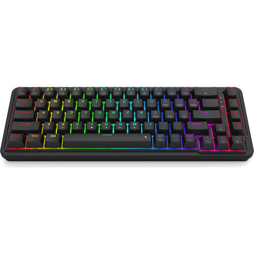 REDRAGON K709 NOVA [K709-RGBTI] 有線 英語配列ミニサイズ(60%) ゲーミングキーボード メカニカルスイッチ ガスケットマウント