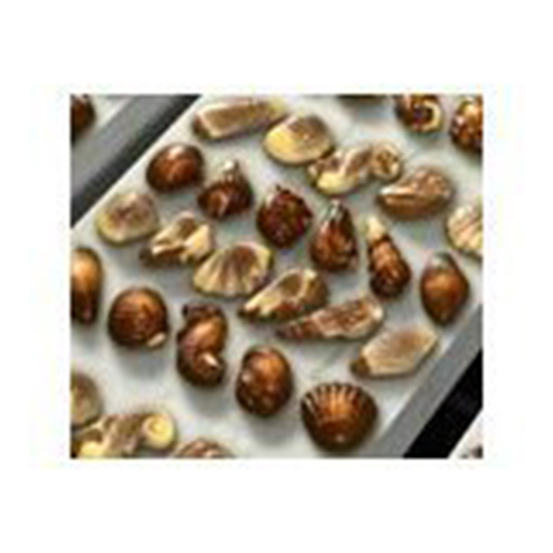Guylian Belgian Chocolate Sea Shells 3 Pack ギリアン ショコラ シー貝殼殼 貝表現方法 甲殻書割り まとめ買い ココア 外国でインポート事項 ベルギーチョコ おお菓子 海外直送品 Cannes Encheres Com