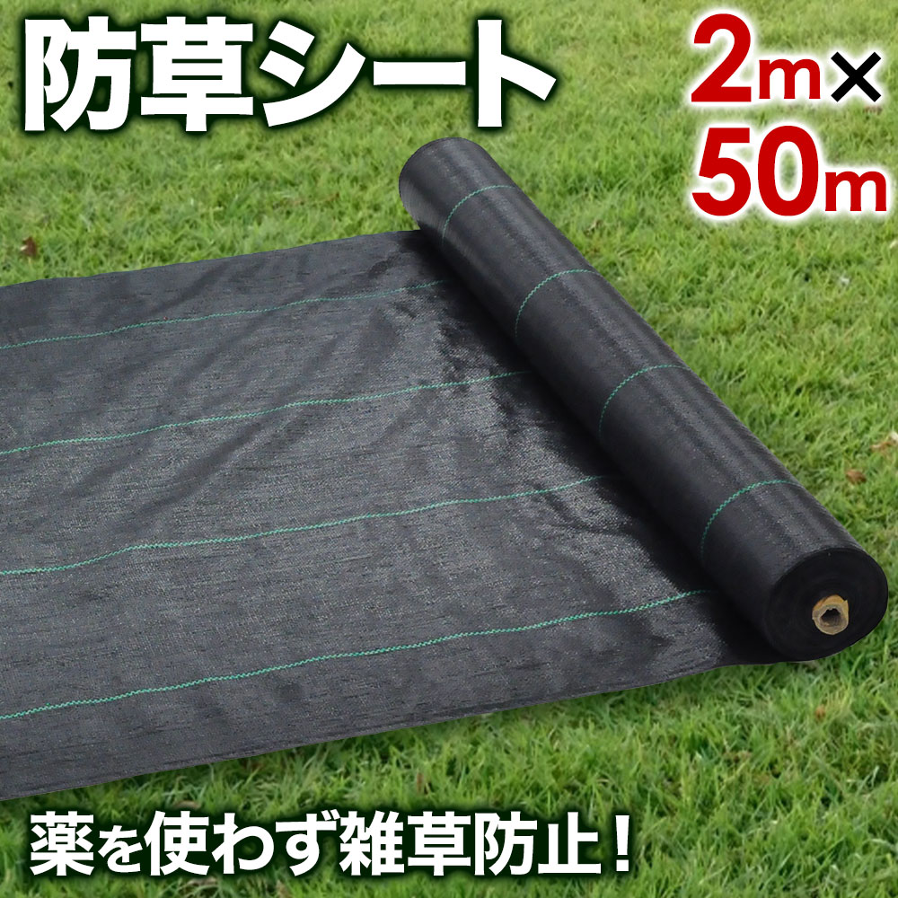 ザバーン 防草シート240G 1m×30m 1本+fauthmoveis.com.br