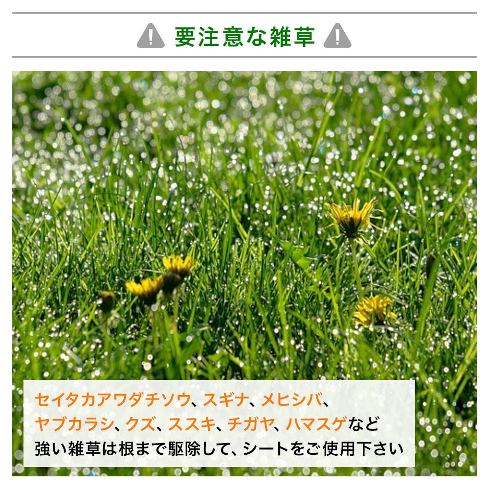 楽天市場 防草シート 2m 50ｍ 防草 シート ガーデニング 雑草 雑草防止 除草シート 雑草対策 雑草シート 雑草抑制 生えない 除草 雑草 防ぐ 草 草除け 0 5000 0 500 2 50 2m 50m 2メートル 50メートル 雑草駆除 雑草除け 砂利 透水 日光遮断 ショップワールド