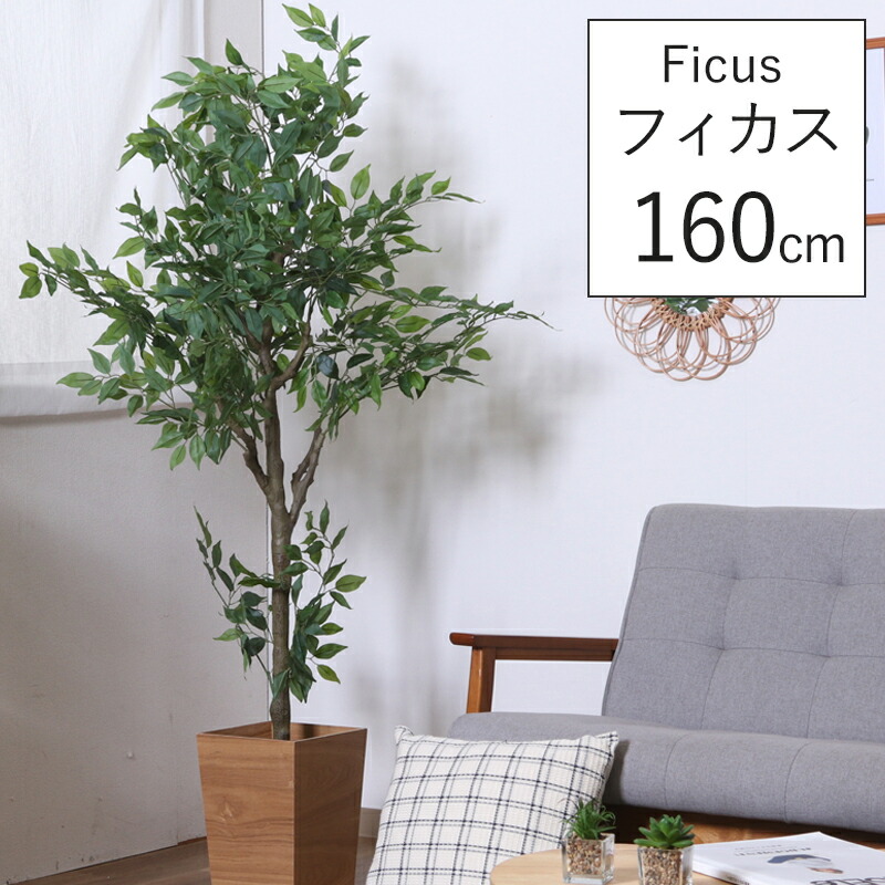 お買い得❗フェイクグリーン　ユーカリ　150㎝❗ 店内全品ポイント5倍／フェイクグリーン 大型 玄関 ユーカリ