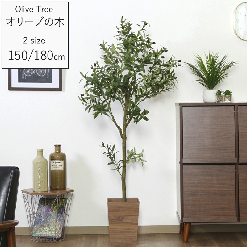 楽天市場】半 額 & 1 0 %OFF☆19(金)20時~ 観葉植物 オリーブ 楽天市場】半 額 & 1 0 %OFF☆19(金)20時~ 観葉植物 オリーブ
