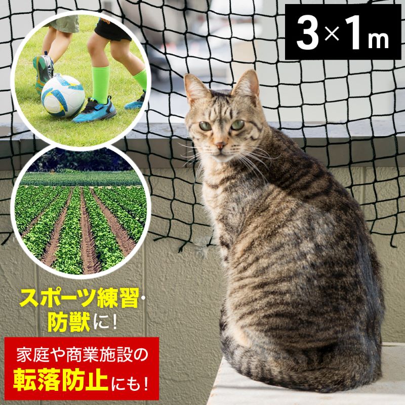 防球ネット ① imgrc0082091921.jpg