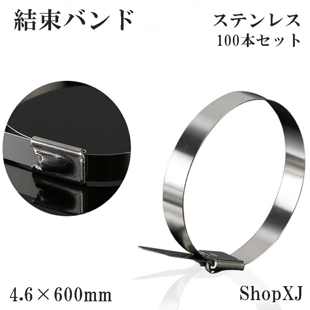 結束バンド TOUR “We will B” 銀テープ 約13cm 4色セット Amazon.co.jp: 結束バンド TOUR “We will B”(完全生産限定版