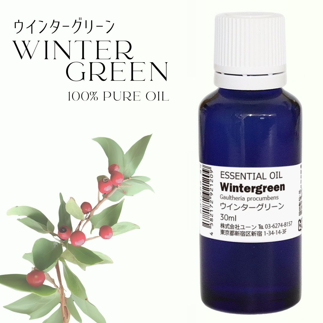 yw-oilwintergreen30.jpg