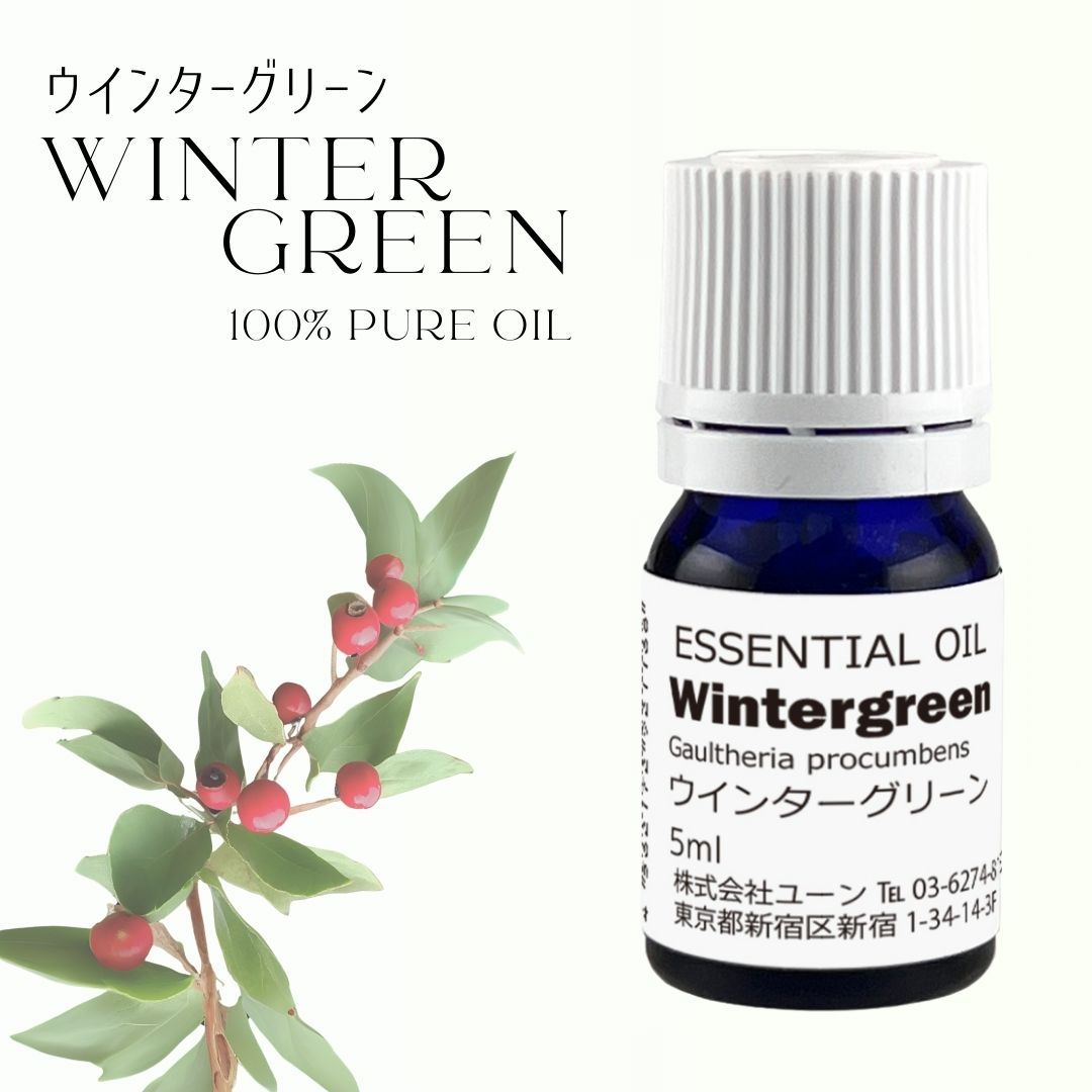 ヤングリヴィング　エッセンシャルオイル　ウィンターグリーン　15ml x 2本 ヤングリヴィング エッセンシャルオイル ウィンターグリーン