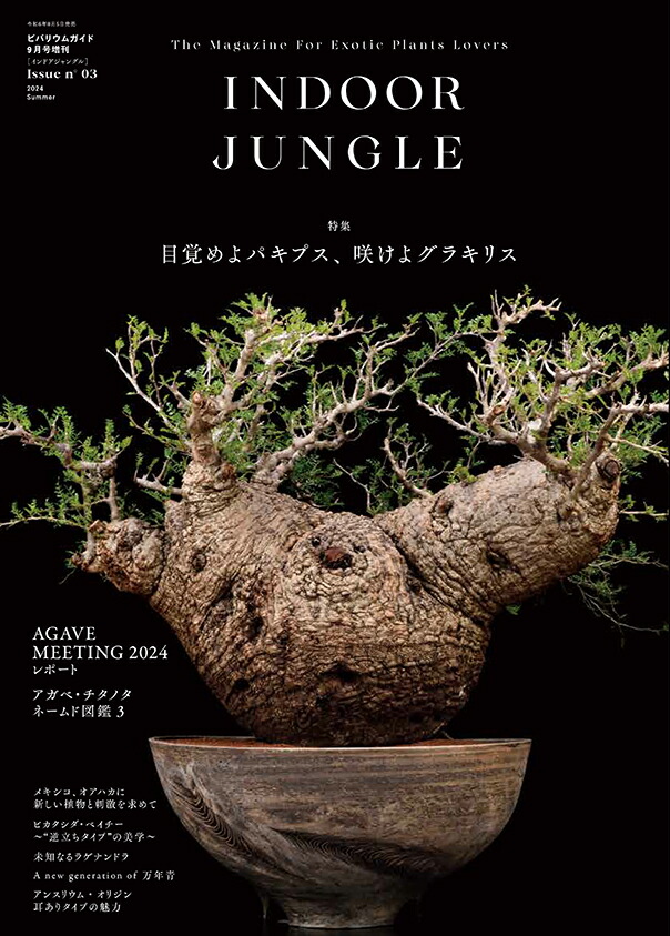 INDOOR JUNGLE アガベ・チタノタ ネームド図鑑 2 INDOOR JUNGLE Issue.04 ｜ エムピージェー
