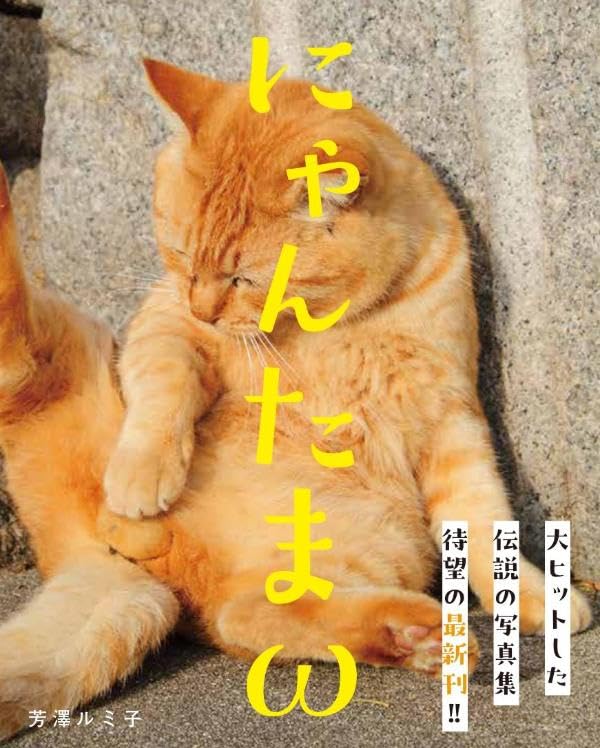 にゃんたま様 楽天市場】にゃんたま : 書泉オンライン楽天市場店