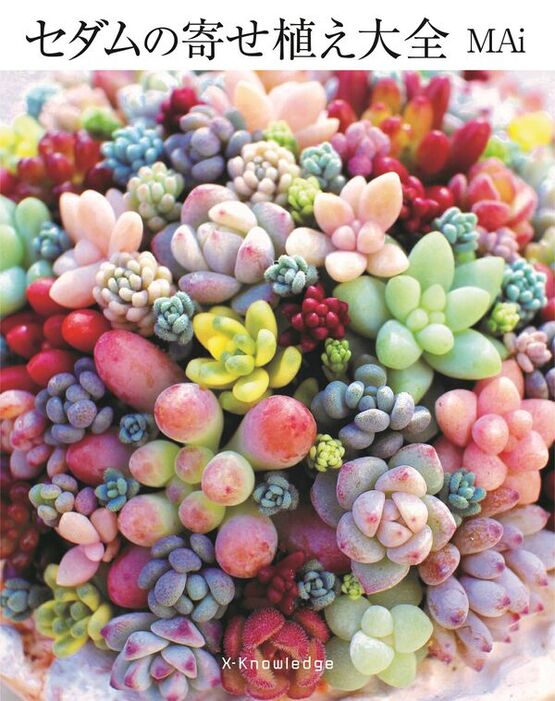 楽天市場】○今の時期しか流通しない、希少品種滅多に流通しない