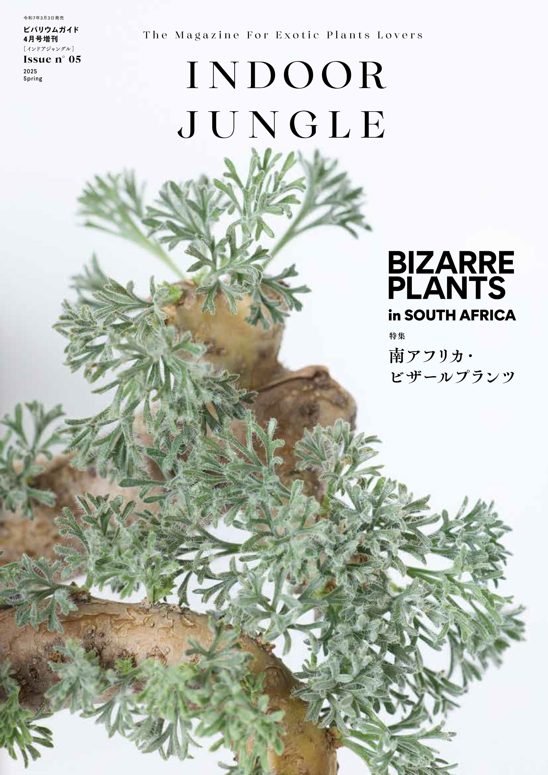 楽天市場】INDOOR JUNGLE No.0412/9頃に延期になりました