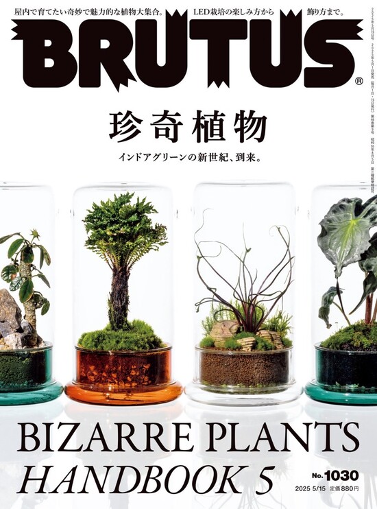 楽天市場】INDOOR JUNGLE No.07 : 書泉オンライン楽天市場店