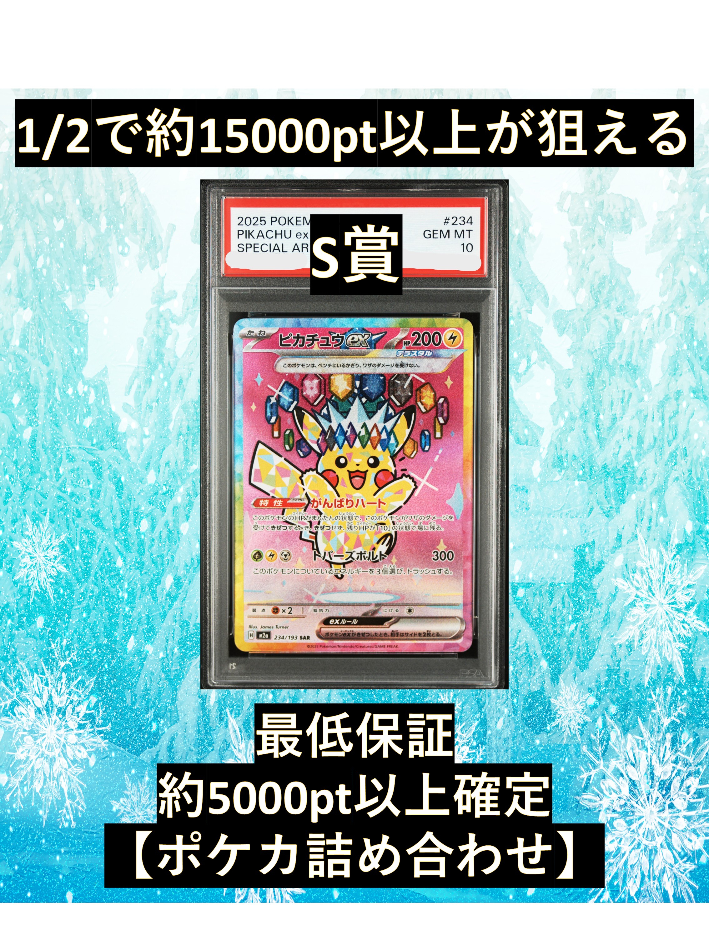 1/2で約15000pt以上のポケカ詰め合わせ確定　【S賞はピカチュウex　SAR】 福袋 高還元 ポケカ オリパ