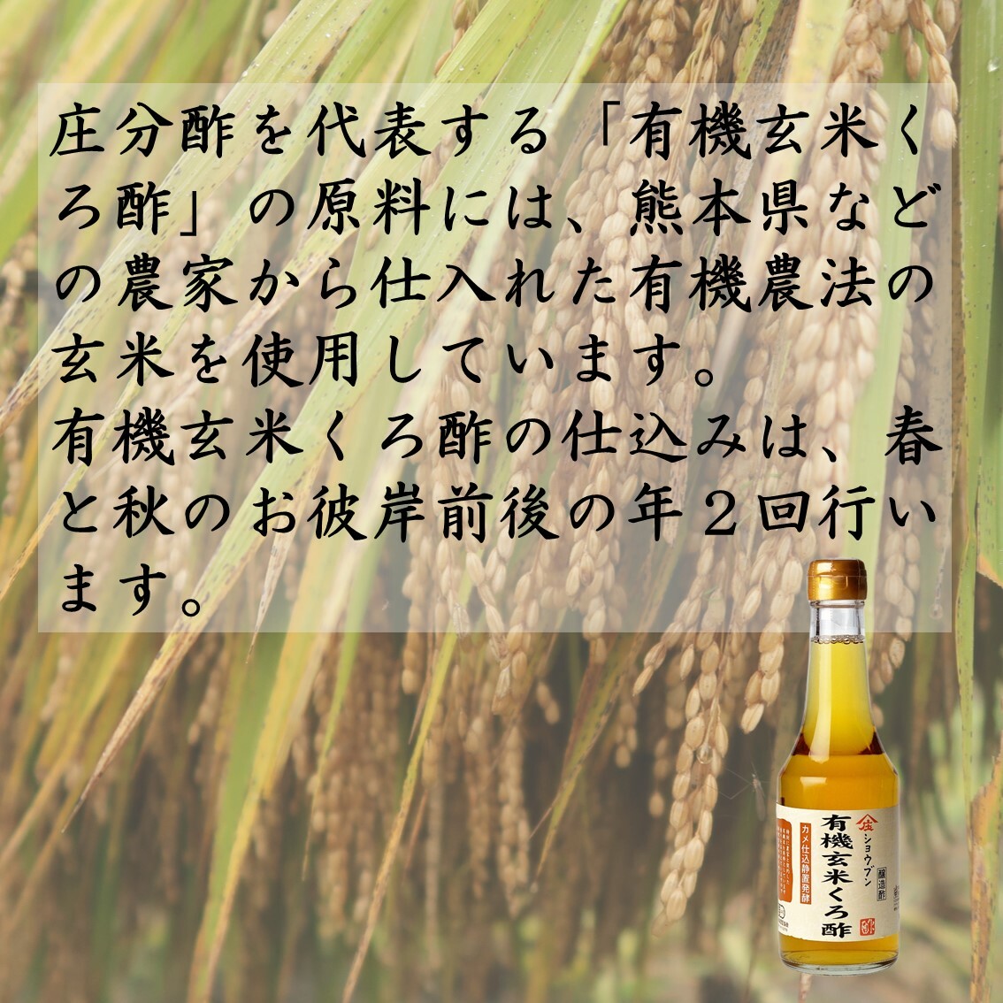 アミノ酸発酵