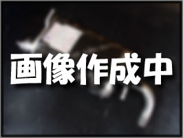 『純正タイプ リヤマフラー』MMT-6487SUS(三菱,パジェロミニ,H53A,H58A)車検対応、ガスケット付|shouei net shop