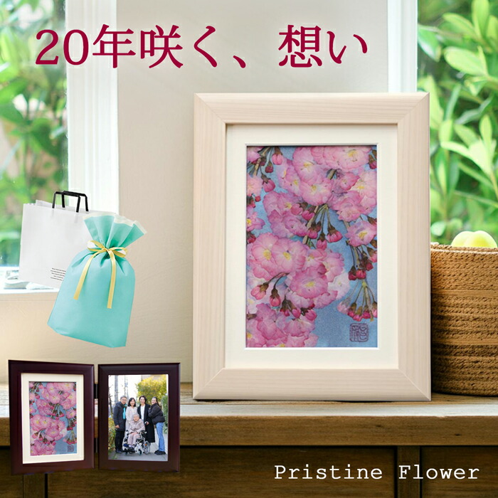 押し花差し上げ物7・8月の花特集【文筆家：庄村昌子】