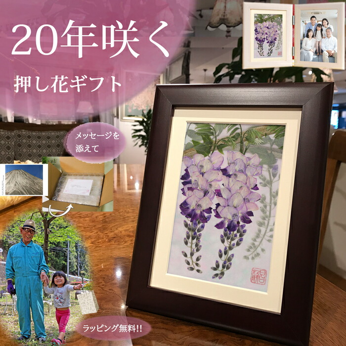 【押し花フレームアート】押し花 額入り 花 アート 額 贈り物 プレゼント 楽天市場】お花の絵|花の額 ブリザードフラワー フラワー