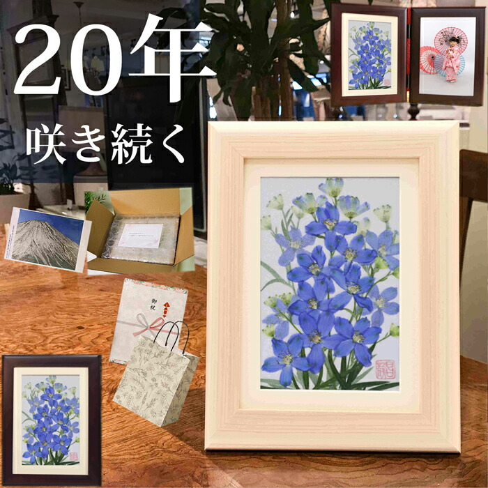 楽天市場】押し花 ☆デルフィニウム (花言葉：幸福をふりまく