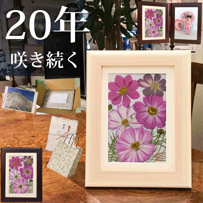 楽天市場】コスモス(花言葉：愛・調和・謙虚) □秋桜 飾り