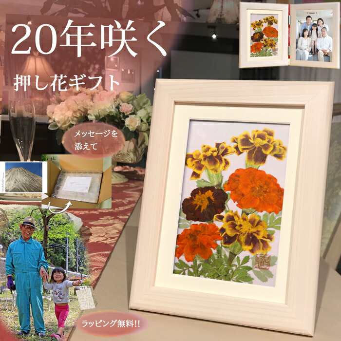 楽天市場】お花の絵|花の額 ブリザードフラワー フラワーフレーム 花の