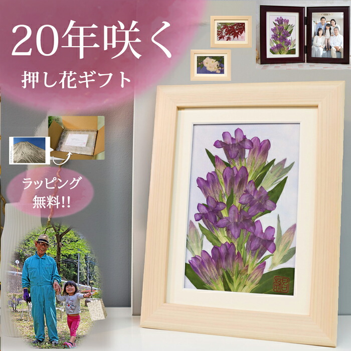 結婚祝い 親 友人の夫婦の紫玉婚式に対するお祝いの花 ダイアモンド婚 花 喜寿 祝い 花 ブリザード 古希 祝いのプレゼント お祝い プレゼント 結婚記念日 写真立て◆退職祝い 母の日 喜寿祝い 閉店 祝い プレゼント 結婚 する 娘 に80歳お祝いブリザードフラワー プリザーブ