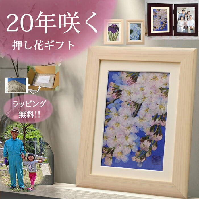 押し花アート 額縁付き 縦長フレーム 楽天市場】お花の絵|花の額 ブリザードフラワー フラワーフレーム 花の